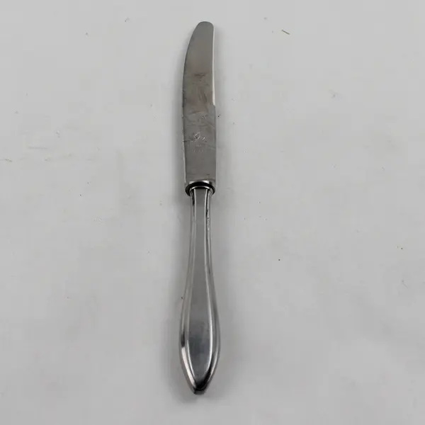 Vintage Solingen Flatware Stainless Butter Knife Unknown Rare HTF Pattern 7" 