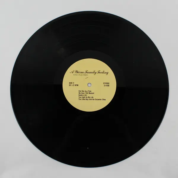Lot of 19 Vinyl Records 12" DIY Craft Projects