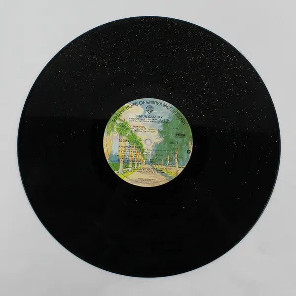 Lot of 26 Vinyl Records 12" DIY Craft Projects