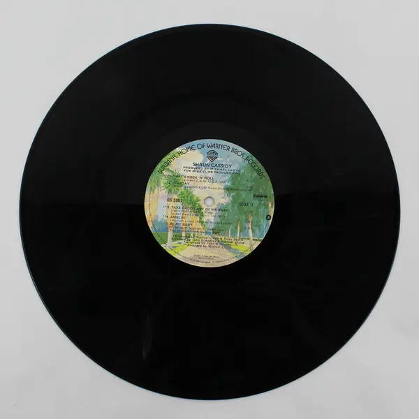 Lot of 26 Vinyl Records 12" DIY Craft Projects