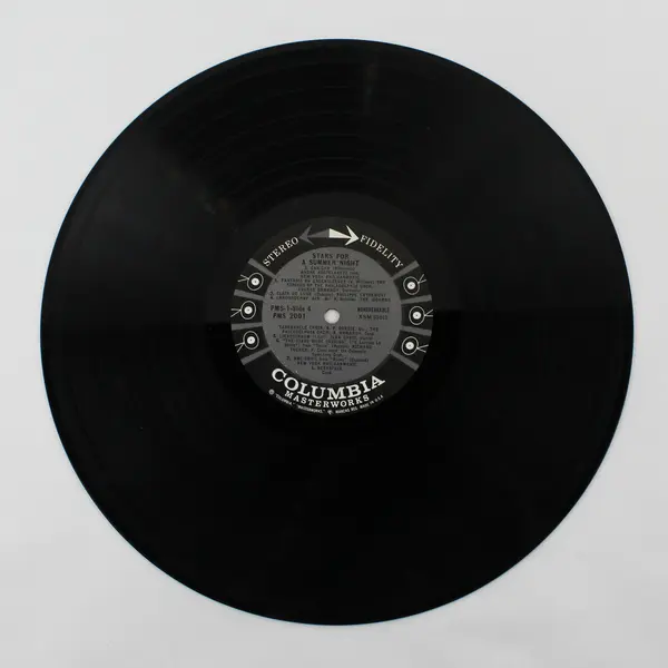 Lot of 24 Vinyl Records 12" DIY Craft Projects