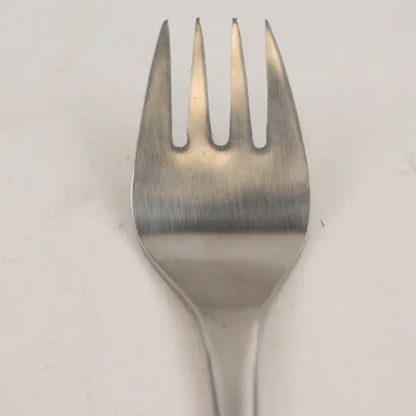 Selandia Palma Rare HTF Pattern 18/8 SS Youth Fork Engraved Monkey Motif 5.5"