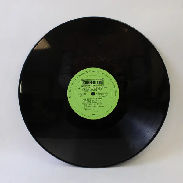 Shady Oak Boys Play All Time Hits 12" Vinyl Record