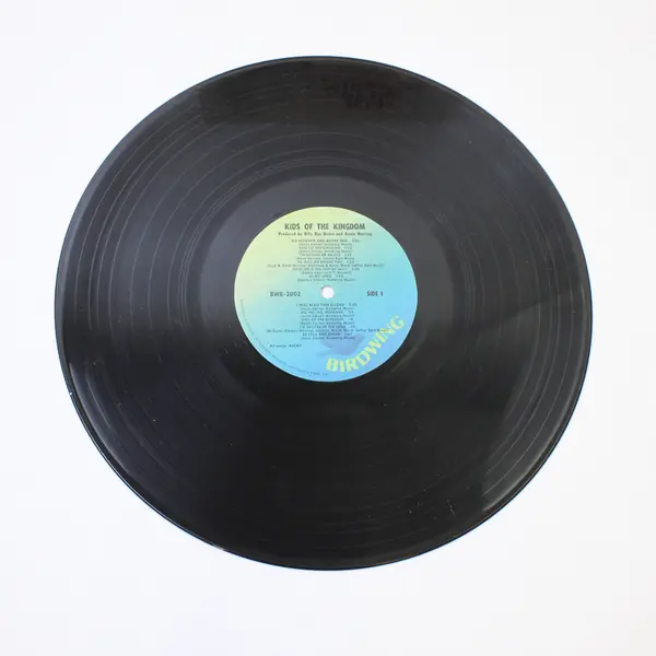 Kids Of The Kingdom With Annie Herring - 12" Vinyl Record 