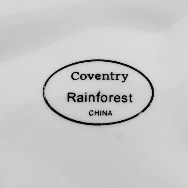 Coventry (PTS) Rainforest Pattern Ceramic Oval Serving Platter 16.75" Long