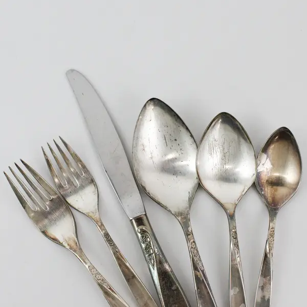22 Piece Oneida Community Winsome Silverplate Flatware Set 1959