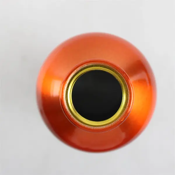 H2GO 24oz Aluminum Water Bottle I'm A Trailblazer Burnt Orange New