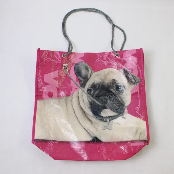 Pug and Cat Pink Vinyl Reusable Tote Bag "VCA Hospitals" 11"x12"x3"