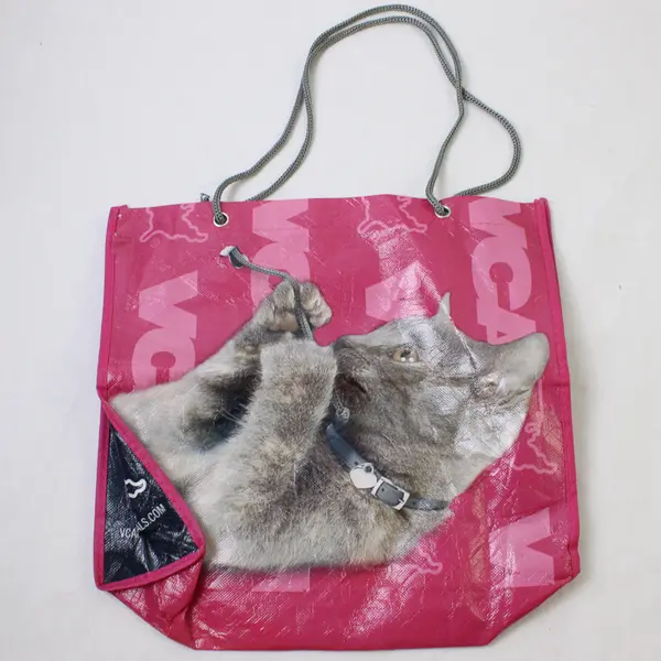 Pug and Cat Pink Vinyl Reusable Tote Bag "VCA Hospitals" 11"x12"x3"