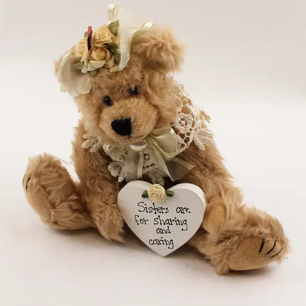 Band Designs Brown Plush Bear with Sister Sharing & Caring Heart
