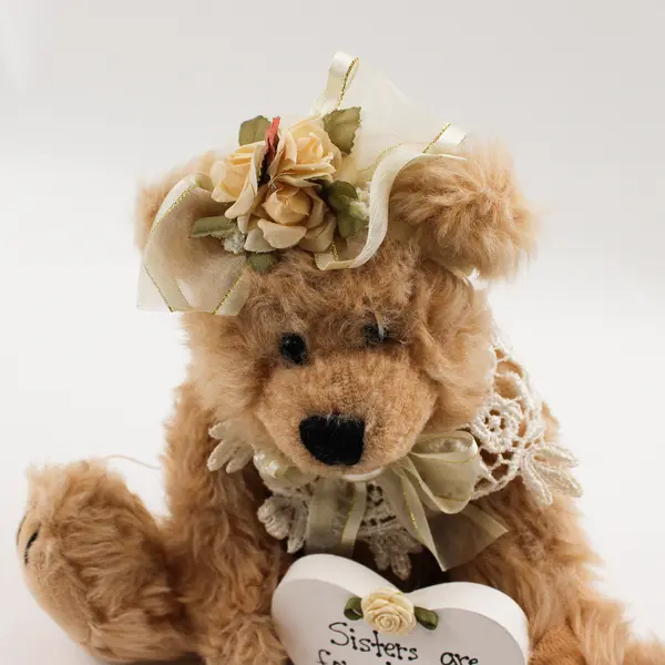 Band Designs Brown Plush Bear with Sister Sharing & Caring Heart