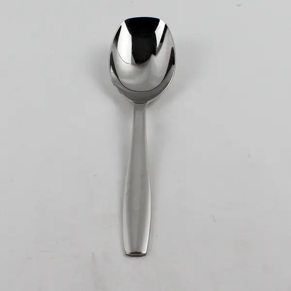 Gourmet Settings Cruise Pattern Stainless Solid Serving Spoon 10" Rare HTF Item