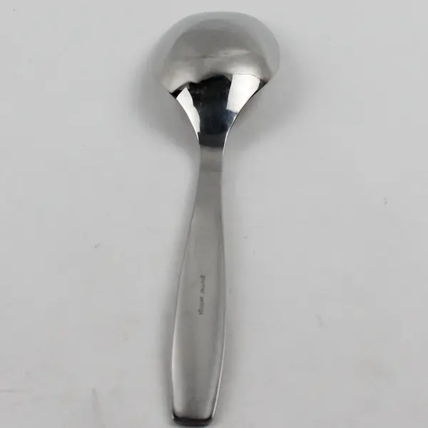 Gourmet Settings Cruise Pattern Stainless Solid Serving Spoon 10" Rare HTF Item