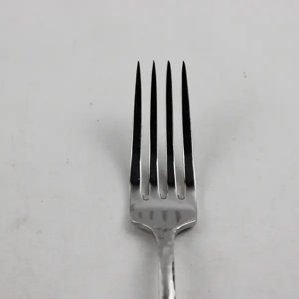 Barenthal Unknown Rare HTF Pattern 18/10 Stainless Dinner Fork Hammered 7" Good