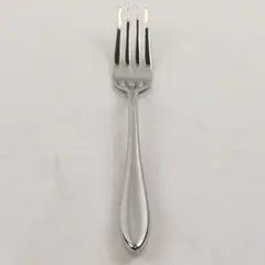 Bugatti Flatware Unknown Rare HTF Pattern 18/10 Stainless Salad Fork 7.5" Good