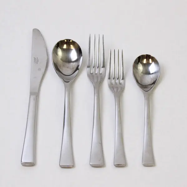 5-Piece Place Settings Harry & Camila Unknown Rare HTF Pattern SS  