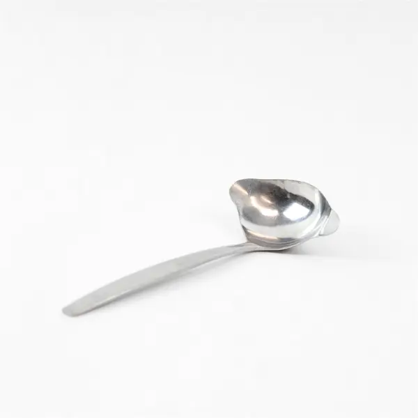 National Stainless Portrait Pattern Stainless Gravy Ladle 2 Spouts 6.5" Rare HTF