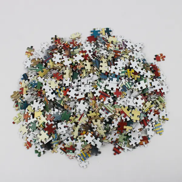 Cavallini & Co. Bibliothèque Vintage 1000 Pc Jigsaw Puzzle 2021 Complete