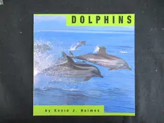 Vintage Dolphins by Kevin J. Holmes 1998 Children's Book - Good Condition