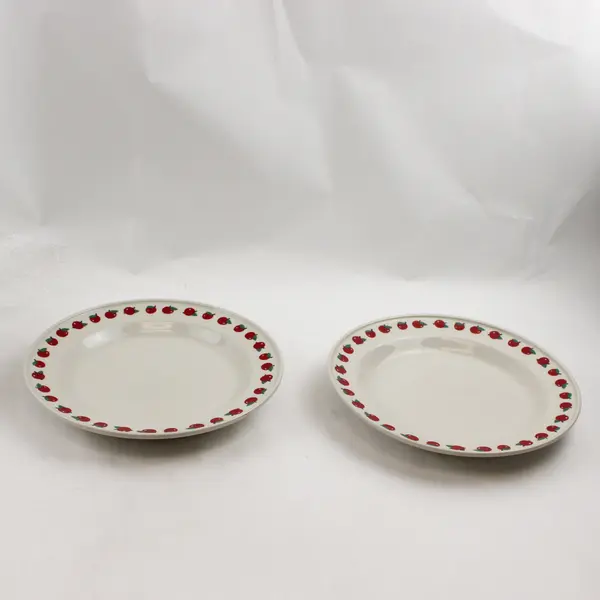 Lot Of 2 Folk Craft Stoneware White W/ Apples Patterned Dinner Plates 10.5"