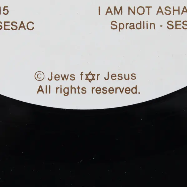 The Liberated Wailing Wall - I Am Not Ashamed 12" Vinyl Record