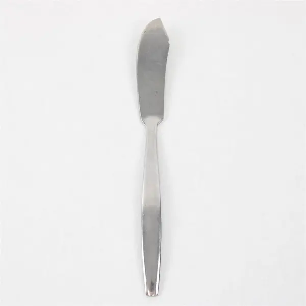 National Stainless Portrait Pattern Stainless Butter Knife 6.5" Rare HTF Pattern