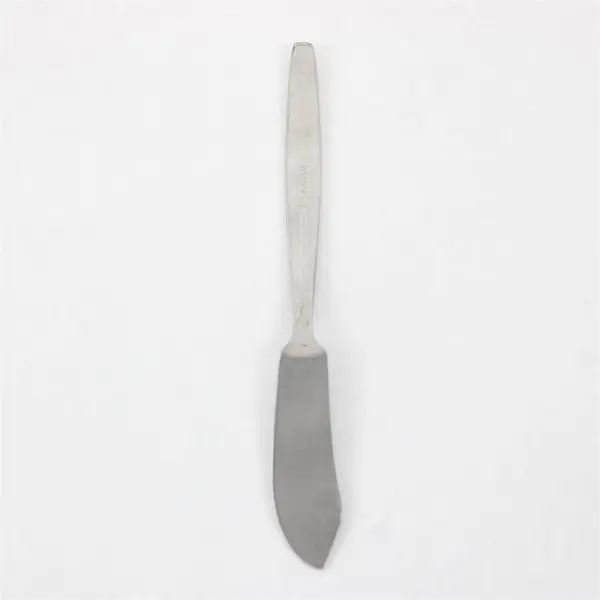 National Stainless Portrait Pattern Stainless Butter Knife 6.5" Rare HTF Pattern