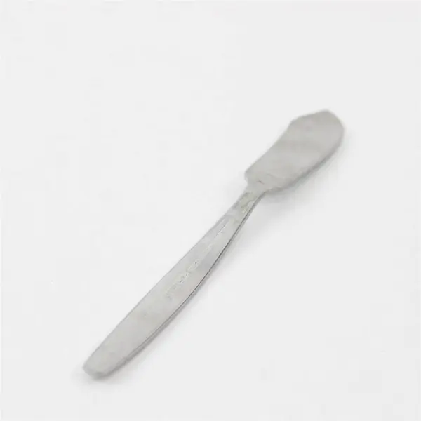 National Stainless Portrait Pattern Stainless Butter Knife 6.5" Rare HTF Pattern