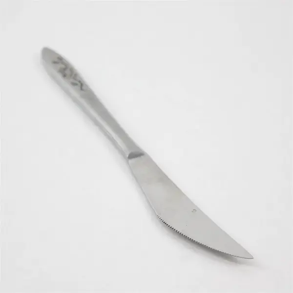 Lot of 4 National Stainless Charmante Pattern SS Dinner Knives Burnished 8.5"