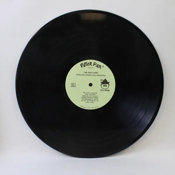 Do the Hokey Pokey & The Bunny Hop 12" Vinyl Record Children's LP