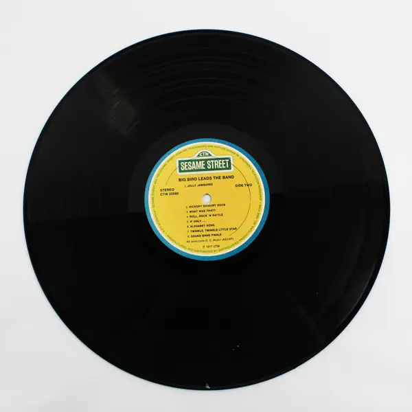 Sesame Street Big Bird Leads The Band  12" Vinyl Record
