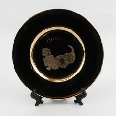 C & F Collectables Aquarius Horoscope Souvenir Plate Black W/ Gold Trim 6.25"