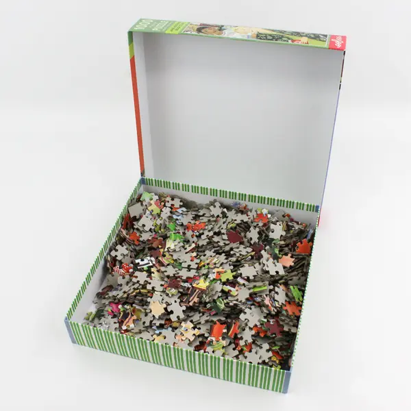 Jane Austen's Book Club 1,000 Piece Jigsaw Puzzle 2020 Complete