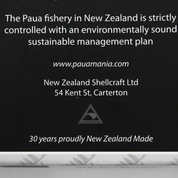 Paua Mania Glass New Zealand Paua Shell Coaster Set