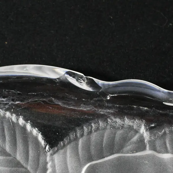 Studio Nova Crystal WINTER ROSE  15.25" Oblong Etched Rose Handled Tray 