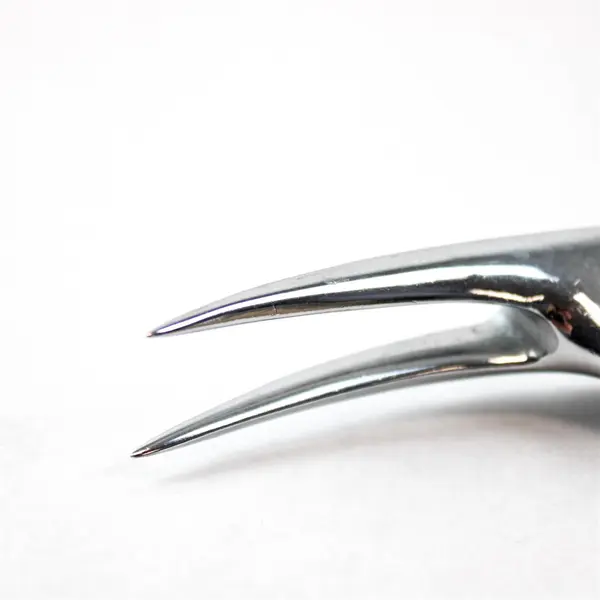 Vintage Carvel Hall Briddell Chrome Ham Roast Holder 8" USA