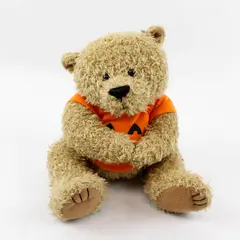 Halloween Teddy Bear Plush Jack O'Lantern Shirt Stuffed Animal - Used