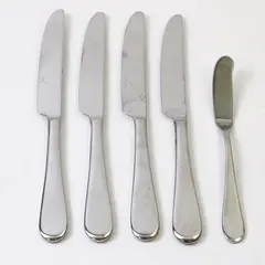 Lot of 5 Oneida Icarus Stainless Flatware 4 French Solid Knives + Butter