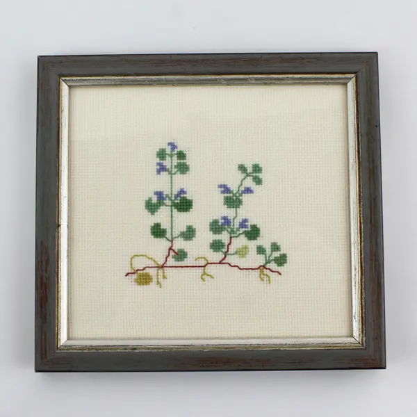 Framed Ground Ivy Counted Stitch Needlework by Ilamae Vinje Warnes Lund