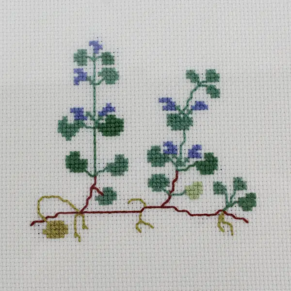 Framed Ground Ivy Counted Stitch Needlework by Ilamae Vinje Warnes Lund