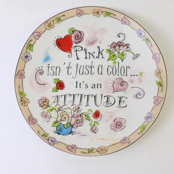 Home Essentials & Beyond Shopping Attitudes Collection "Pink..." Plate 6.25"