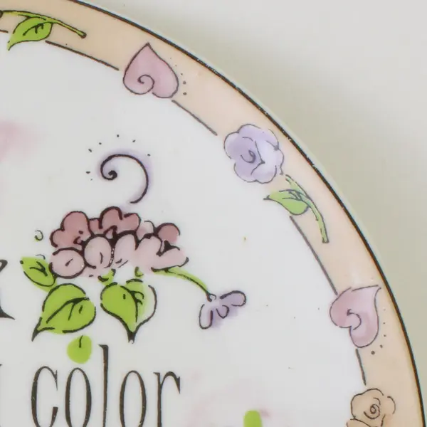 Home Essentials & Beyond Shopping Attitudes Collection "Pink..." Plate 6.25"
