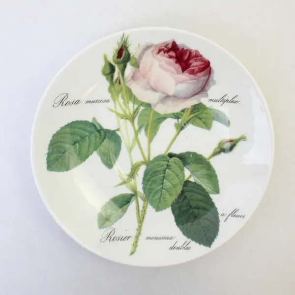 Roy Kirkham An Exclusive Design Redoute Roses Pattern Ceramic Saucer 6.75"