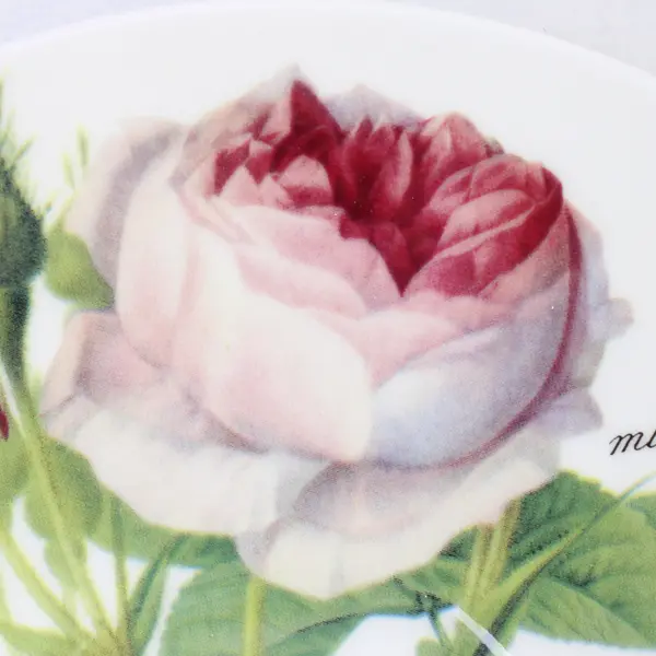 Roy Kirkham An Exclusive Design Redoute Roses Pattern Ceramic Saucer 6.75"