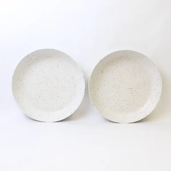 Naturally by Danny Seo Set of 2 11in Speckled Melamine Dinner Plates