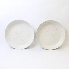 Naturally by Danny Seo Set of 2 11in Speckled Melamine Dinner Plates