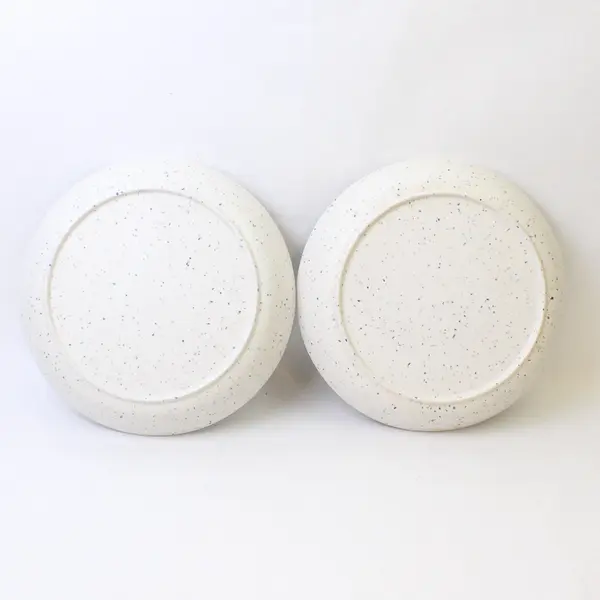 Naturally by Danny Seo Set of 2 11in Speckled Melamine Dinner Plates