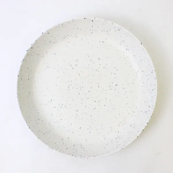 Naturally by Danny Seo Set of 2 11in Speckled Melamine Dinner Plates