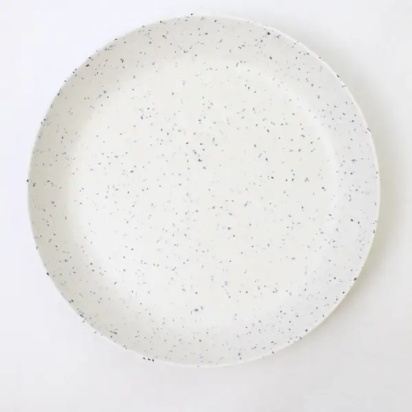 Naturally by Danny Seo Set of 2 11in Speckled Melamine Dinner Plates