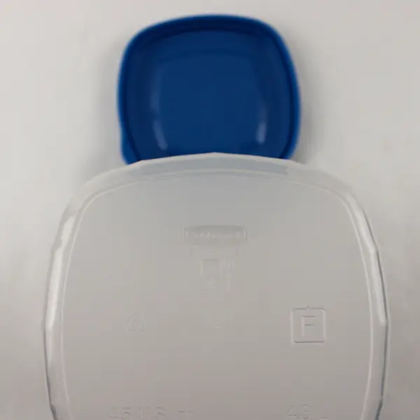 Rubbermaid Servin' Saver 556 Plastic Food Canister 4.5 Quarts with Blue Lid